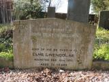 image of grave number 597335